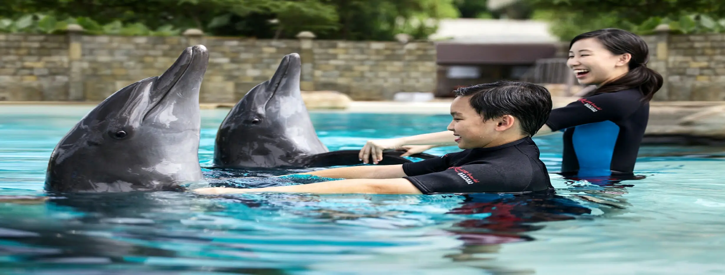 Image for Dolphin Encounter